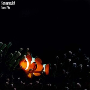 Trevor Pike - Somnambulist